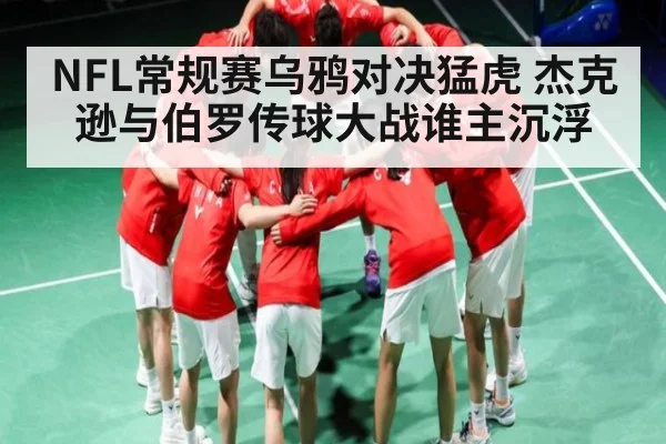 NFL常规赛乌鸦对决猛虎 杰克逊与伯罗传球大战谁主沉浮